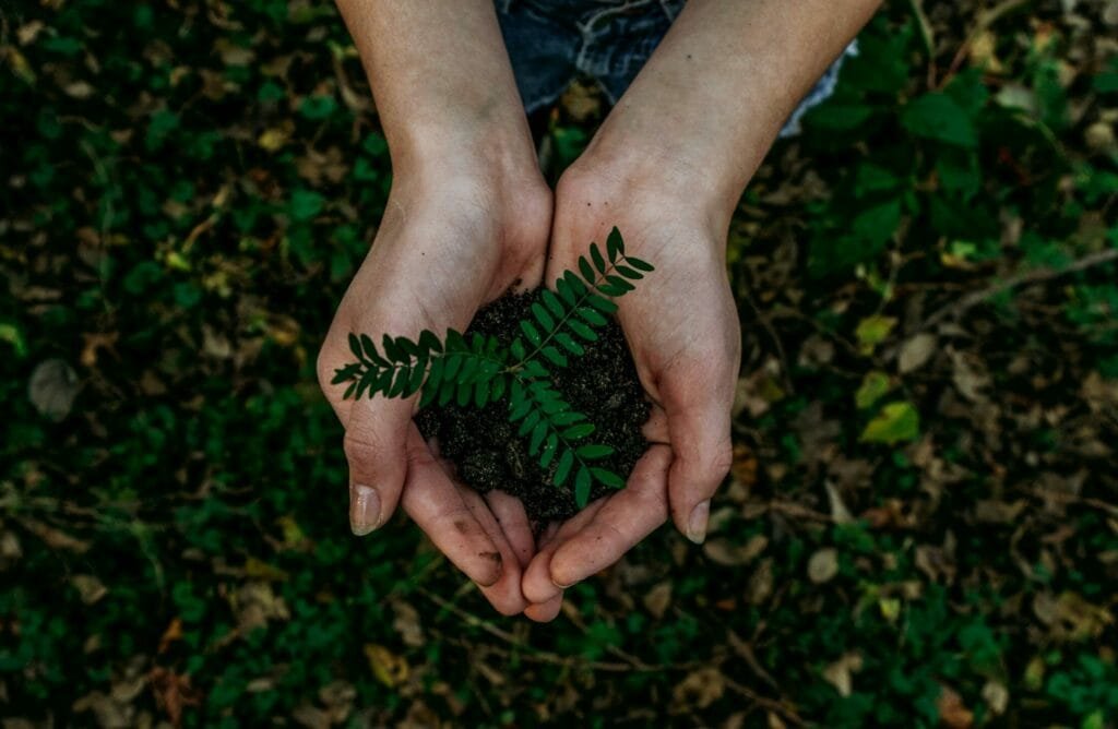 respectueux de l'environnement