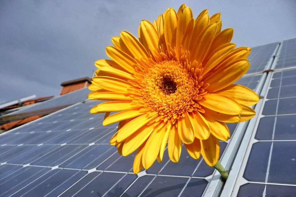 environmenta advantages