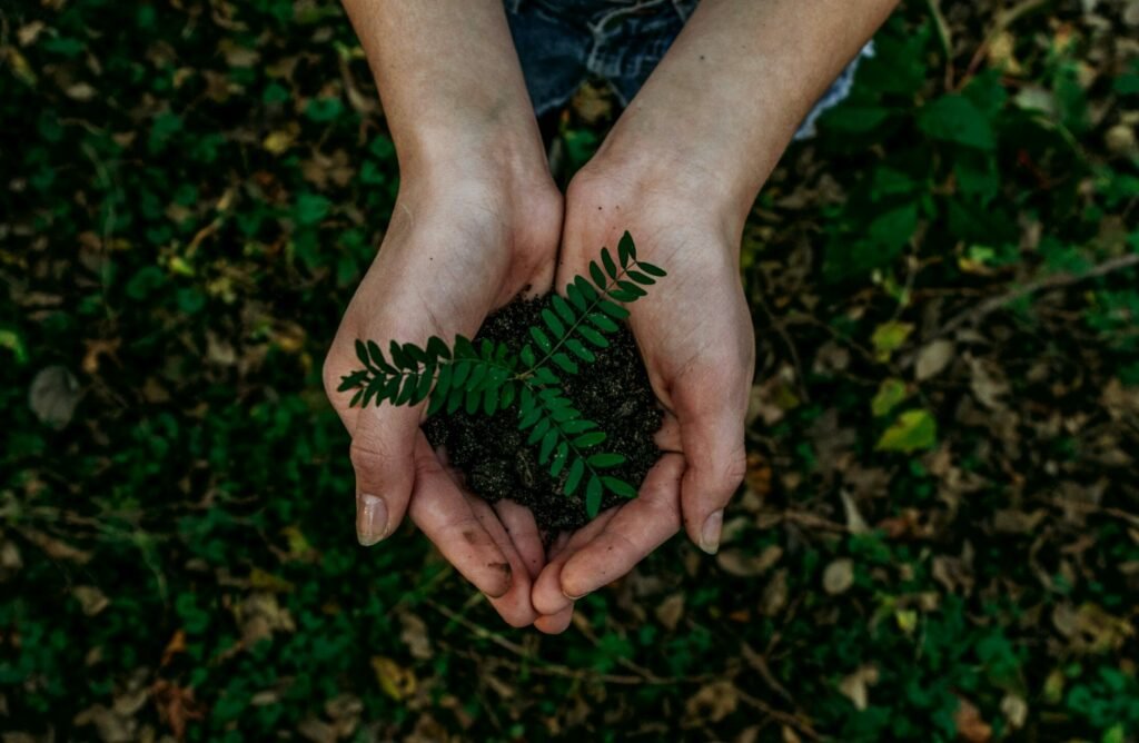 environmental friendly